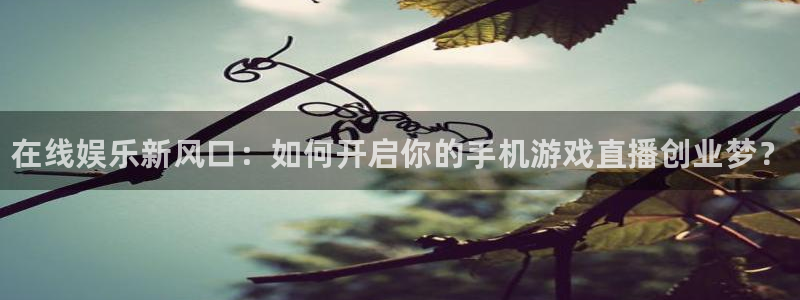 奇亿娱乐线路测试：在线娱乐新风口：如何开启你的手机游戏直播创