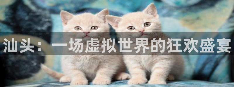 奇亿娱乐平台注册资金多少：汕头：一场虚拟世界的狂欢盛宴