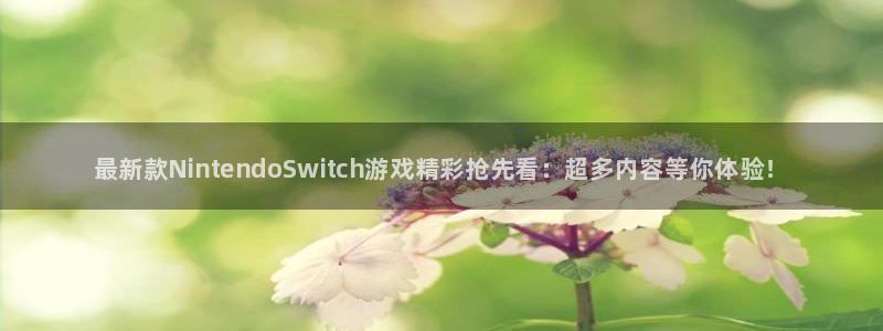 奇亿娱乐平台登录：最新款NintendoSwitch游戏精彩