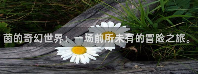 奇亿娱乐2首页登录：茵的奇幻世界：一场前所未有的冒险之旅。