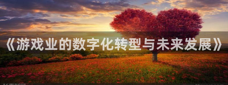 奇亿娱乐注册网站：《游戏业的数字化转型与未来发展》