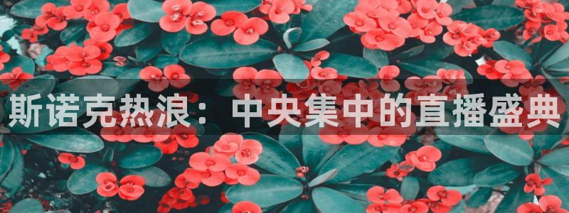 小九体育直播免费观看：斯诺克热浪：中央集中的直播盛典