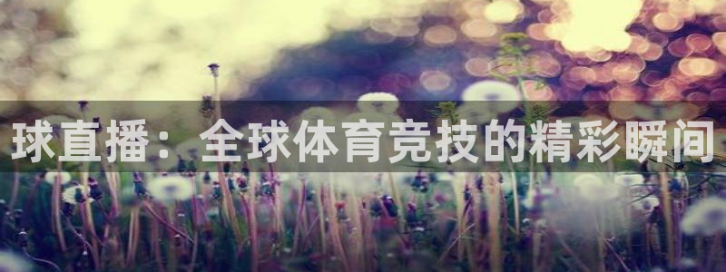 nba直播免费观看直播在线高清小九直播：球直播：全球体育竞技的精彩瞬间
