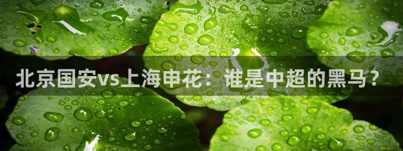 nba直播吧小九直播：北京国安vs上海申花：谁是中超的黑马？