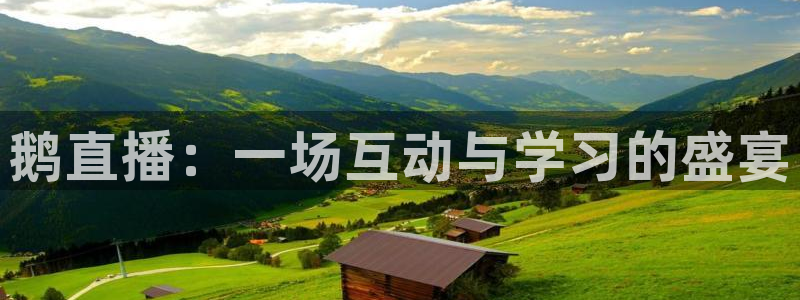 免费nba小九比赛直播高清：鹅直播：一场互动与学习的盛宴